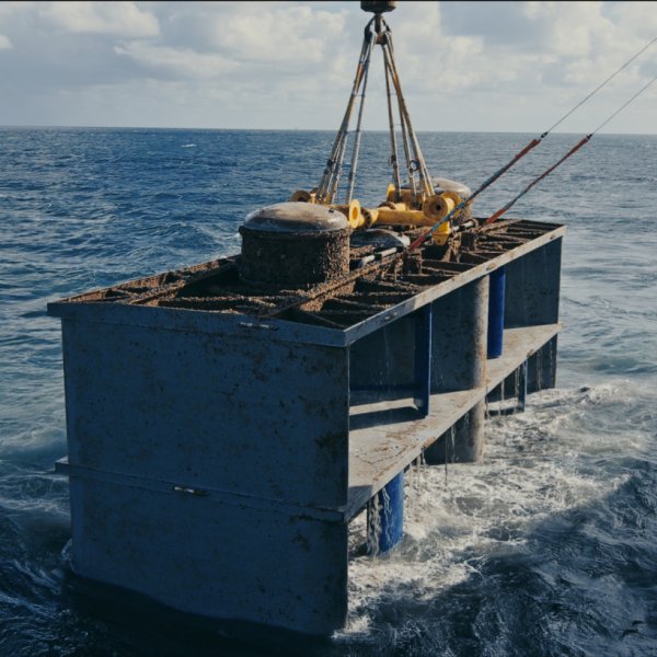 The Marine Energy Council announces new Board for 2025/26